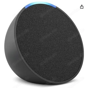 Echo Pop (Neueste Generation)