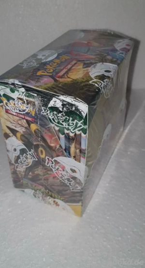 pokemon evolution display