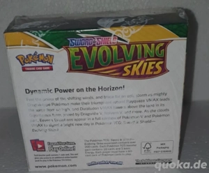 pokemon drachenwandel display