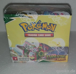 pokemon drachenwandel display