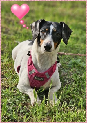 Marti wartet und hofft auf ein Zuhause