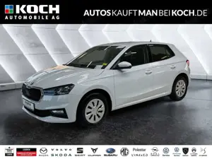 Skoda Fabia 1.0 TSI Selection AHK LED PDC TEMP DAB SHZ
