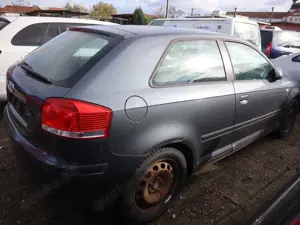 Audi A3 1.6 Ambition Bild 4