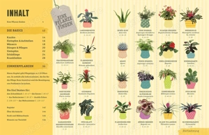 So überleben Zimmerpflanzen garantiert: Grüner Daumen für Anfänger 