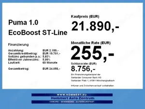 Ford Puma 1.0 EcoBoost ST-Line X *ACC*Kamera*beh.Lenk* Bild 4