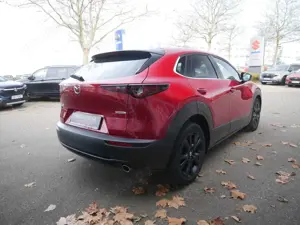 Mazda CX-30 e-SKYACTIV-G 140 Homura SHZ ACC HUD LED Bild 5