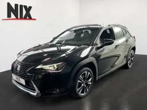 Lexus UX 250h 2.0 Hybrid Style Edition LED KAMERA