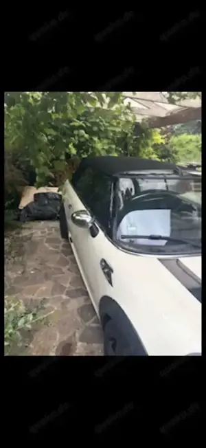 MINI Cooper SD Cabrio Aut. Highgate Bild 2