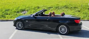 BMW 318 318i Cabrio