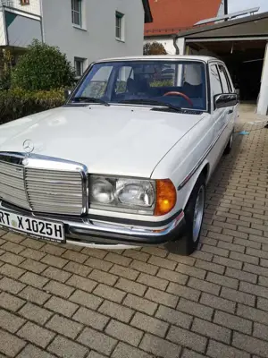 Mercedes-Benz 280 E W123 1977 Bild 2