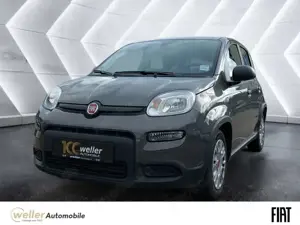 Fiat Panda 1.0 Mild-Hybrid Klimaautomatik Bluetooth Kopfairba
