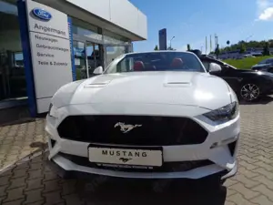 Ford Mustang 5.0 GT Convertible #Rote Ledersitze #Windschott# Bild 3