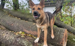 Lass dich von Maverick verzaubern!