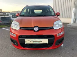Fiat Panda Bild 2