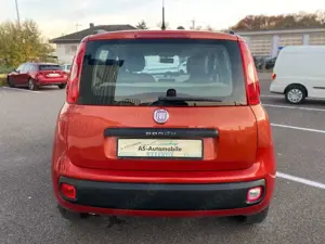 Fiat Panda Bild 5