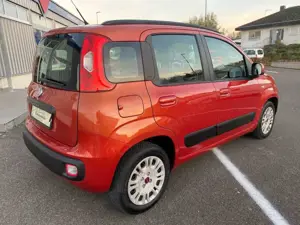 Fiat Panda Bild 4