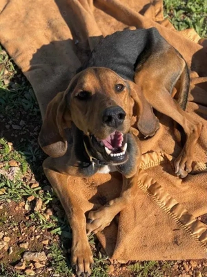 MEZZI auf Körbchensuche Bild 6