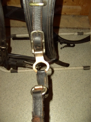 Einspännergeschirr schwarzes Leder Gr. P Bild 4
