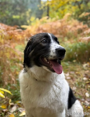 Linda ein grossherziger Sonnenschein