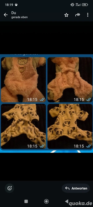 neue süße warme hunde Kleidung 