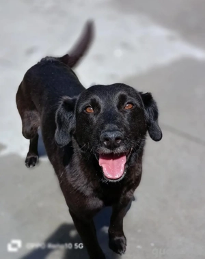 NISHA    träumt von ihrer eigenen Familie