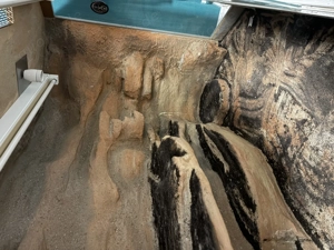 2 Kornnattern mit Terrarium Bild 5