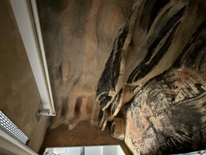 2 Kornnattern mit Terrarium Bild 4