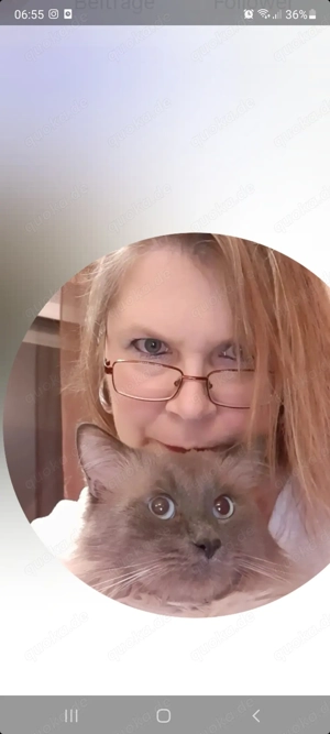 Suche  günstigen zimmer , dafür helfe ich in Haushalt und Garten. 