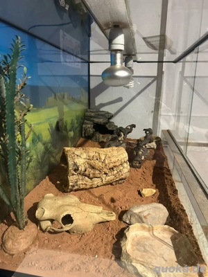 Terrarium 120x60x60 Bild 5