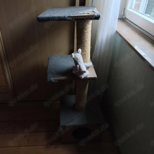 Kratzbaum zu verschenken 