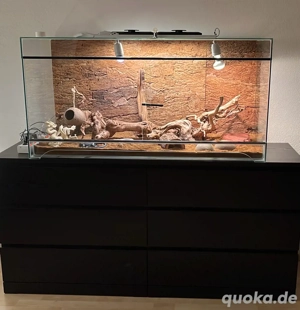 Terrarium 120 x 50 x 60 cm - von Meining Terraristik