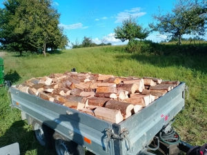 Brennholz   Hartholz   Buche Eiche Ahorn   Lieferung inkl. Bild 4