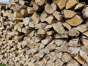 Brennholz Hartholz 1Ster incl. Lieferung Umkreis 74925
