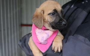 Bei Lovely ist der Name Programm Bild 2