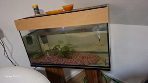 Aquarium 112l