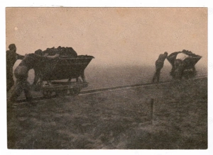 Postkarte von Zentralverlag, Zwangsarbeit in der NS-Zeit, T179