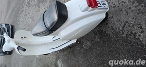 Vespa 50 Rundlicht  Bild 2