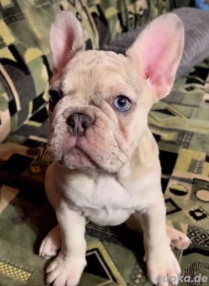 Ein bezaubernder kleiner Prinz!