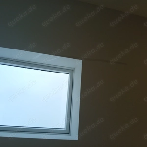 Suche ein e Mitbewohner in