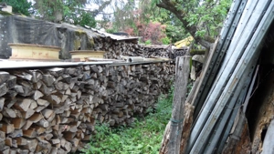 Raummeter (Rm) Hartholz aus Nachlass zu verkaufen (74182 Obersulm) Bild 2