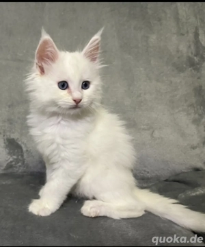 Eine weiße sanfte Wolke