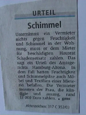 INFO Hilfe Schimmel Gerichtsurteil, Gutachter hilft bei Problem Haus