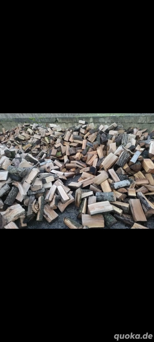 Hochwertiges Brennholz | Buche Esche | Trocken & ofenfertig