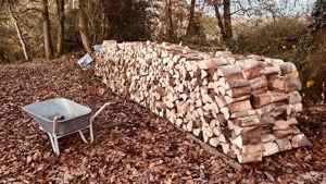 Brennholz Kaminholz ofenfertig aus Überschuss von privat 