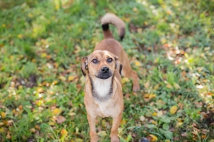 *RIEKE* ist freundlich, fröhlich, aktiv und unternehmungslustig