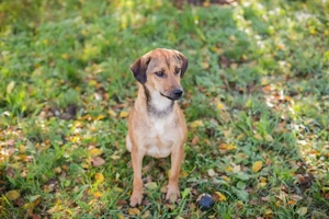 *RIEKE* ist freundlich, fröhlich, aktiv und unternehmungslustig