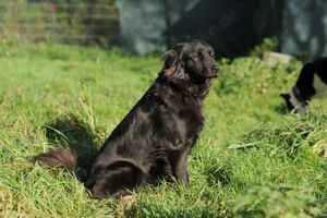 Paula sucht verständnisvolle Menschen 