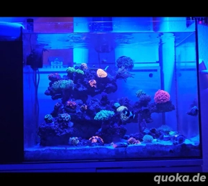 Waterbox Peninsula 25 + Technik