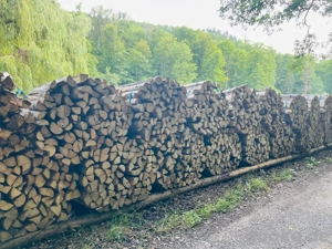 Brennholz 