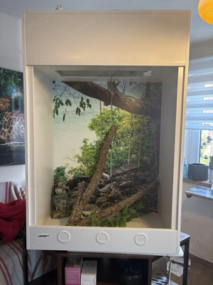 Terrarium Hoch Terrarium Kunstoff Nagelneu 